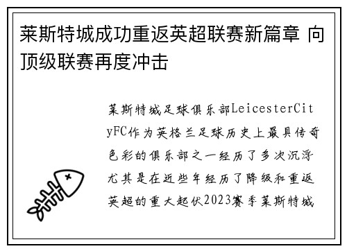 莱斯特城成功重返英超联赛新篇章 向顶级联赛再度冲击